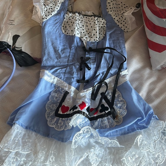 Disney Alice in Wonderland Halloween Costume - 2T - Picture 2 of 7